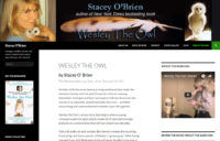 screenshot of website for Wesley The Owl